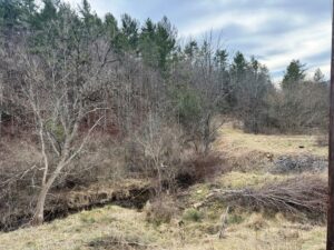 Property photo for land for sale in Bland County Virginia