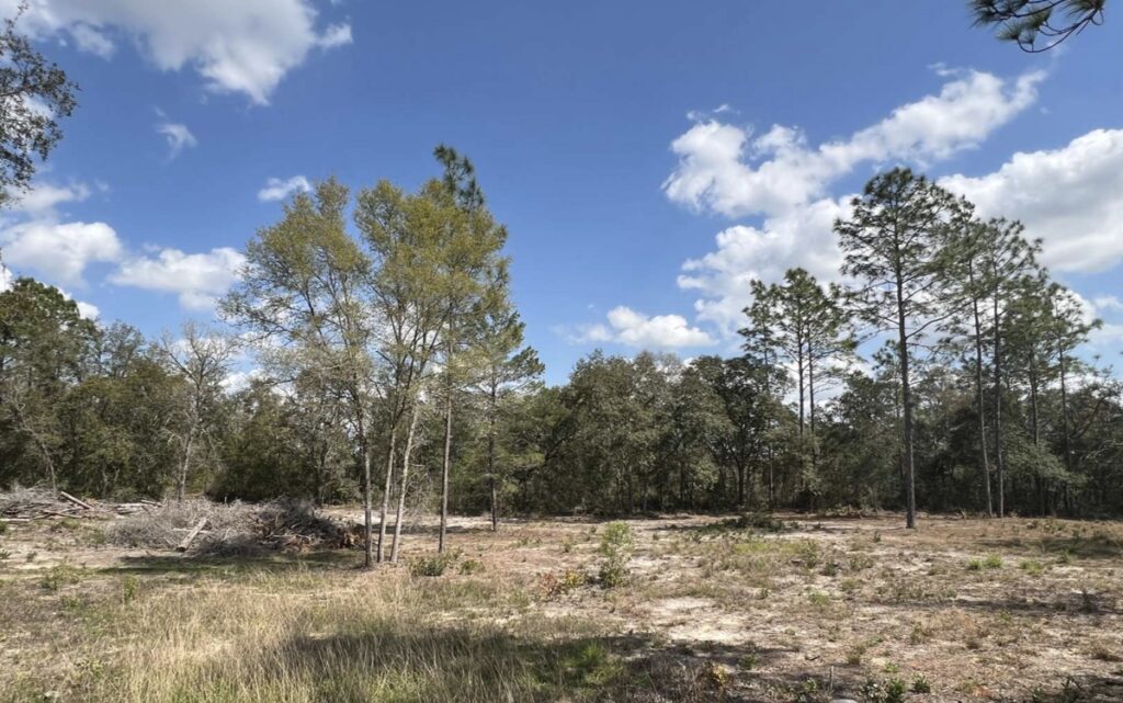 Property photo for land for sale in Levy County Florida