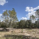 Property photo for land for sale in Levy County Florida