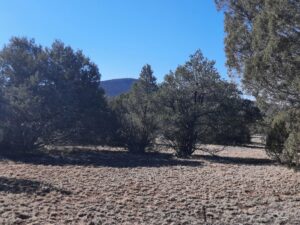 Property photo for land for sale in Yavapai County Arizona
