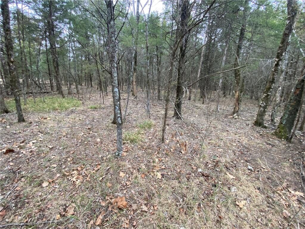 Property photo for land for sale in County Arkansas