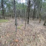 Property photo for land for sale in  County Arkansas