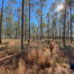 Property photo for land for sale in Crenshaw County Alabama