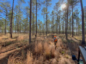 Property photo for land for sale in Crenshaw County Alabama