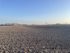 Property photo for land for sale in San Jacinto County Texas