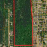 Property photo for land for sale in Bowie County Texas