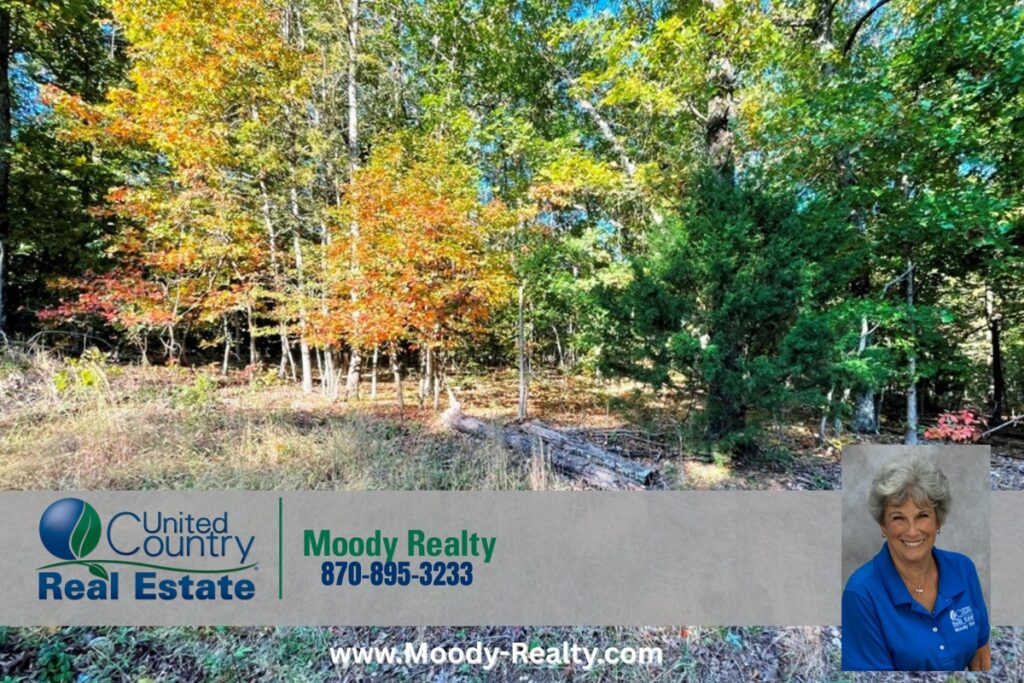 Property photo for land for sale in Izard County Arkansas