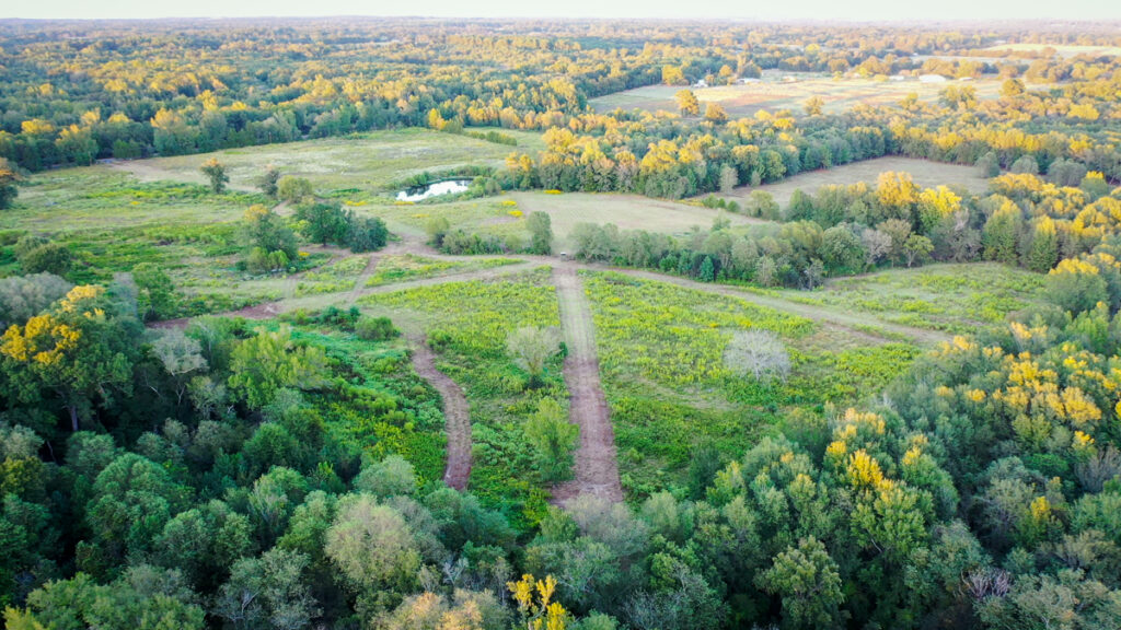 Property photo for land for sale in Wood County Texas