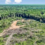 Property photo for land for sale in Amite County Mississippi