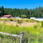 Property photo for land for sale in Mineral County Montana