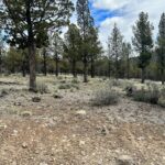 Property photo for land for sale in Modoc County California