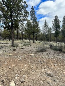 Property photo for land for sale in Modoc County California