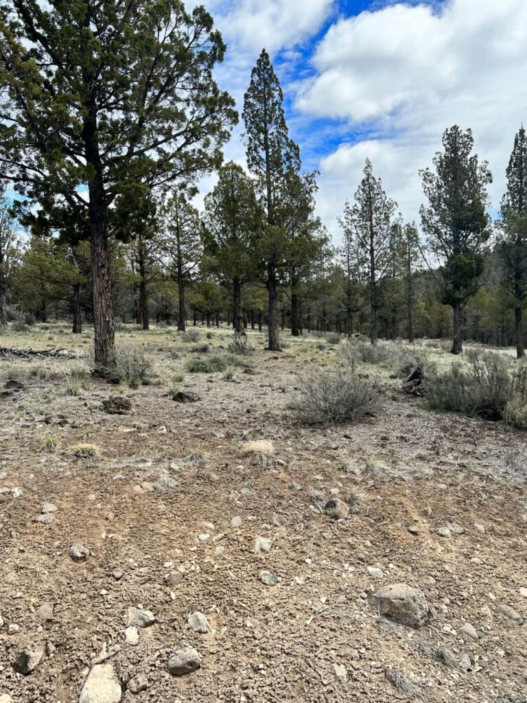 Property photo for land for sale in Modoc County California