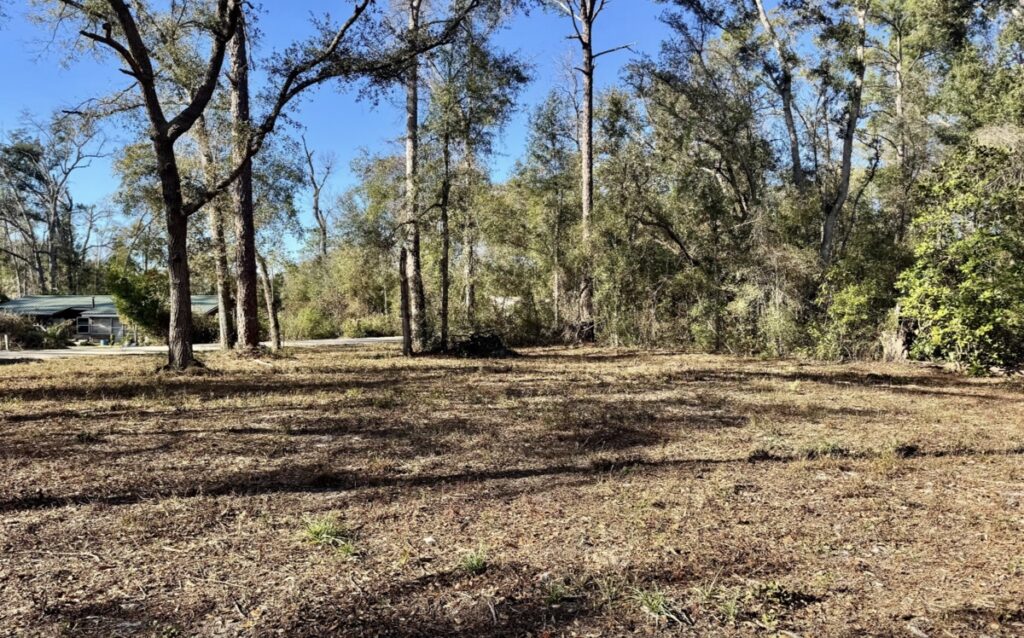 Property photo for land for sale in County Florida