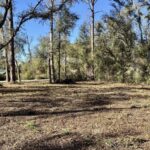Property photo for land for sale in  County Florida