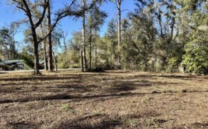 Property photo for land for sale in  County Florida