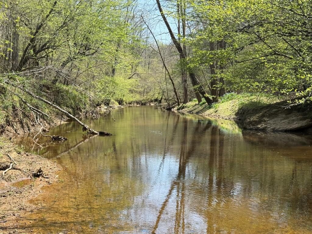 Property photo for land for sale in Orange County Virginia