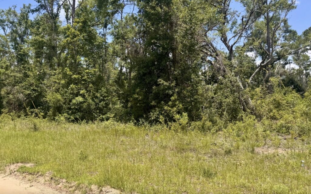 Property photo for land for sale in Hamilton County Florida