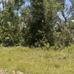 Property photo for land for sale in Hamilton County Florida