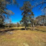 Property photo for land for sale in Pike County Mississippi