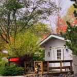 Property photo for land for sale in Modoc County California