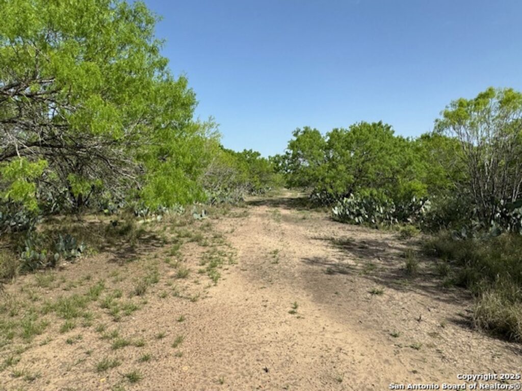 Property photo for land for sale in Atascosa County Texas
