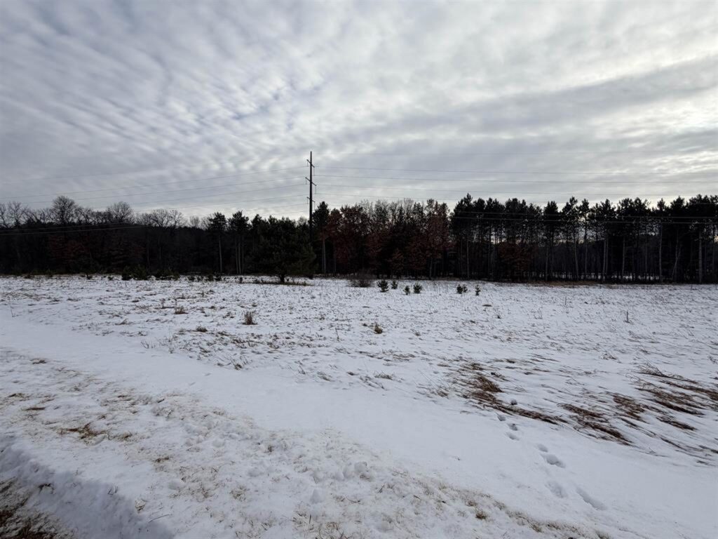 Property photo for land for sale in Waupaca County Wisconsin