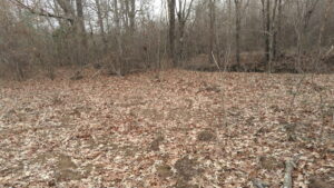 Property photo for land for sale in White County Arkansas