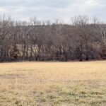Property photo for land for sale in Gentry County Missouri