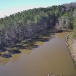 Property photo for land for sale in Marengo County Alabama