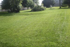 Property photo for land for sale in Washington County Virginia