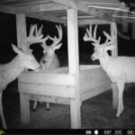 Property photo for land for sale in Chautauqua County Kansas