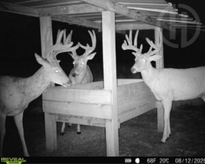 Property photo for land for sale in Chautauqua County Kansas