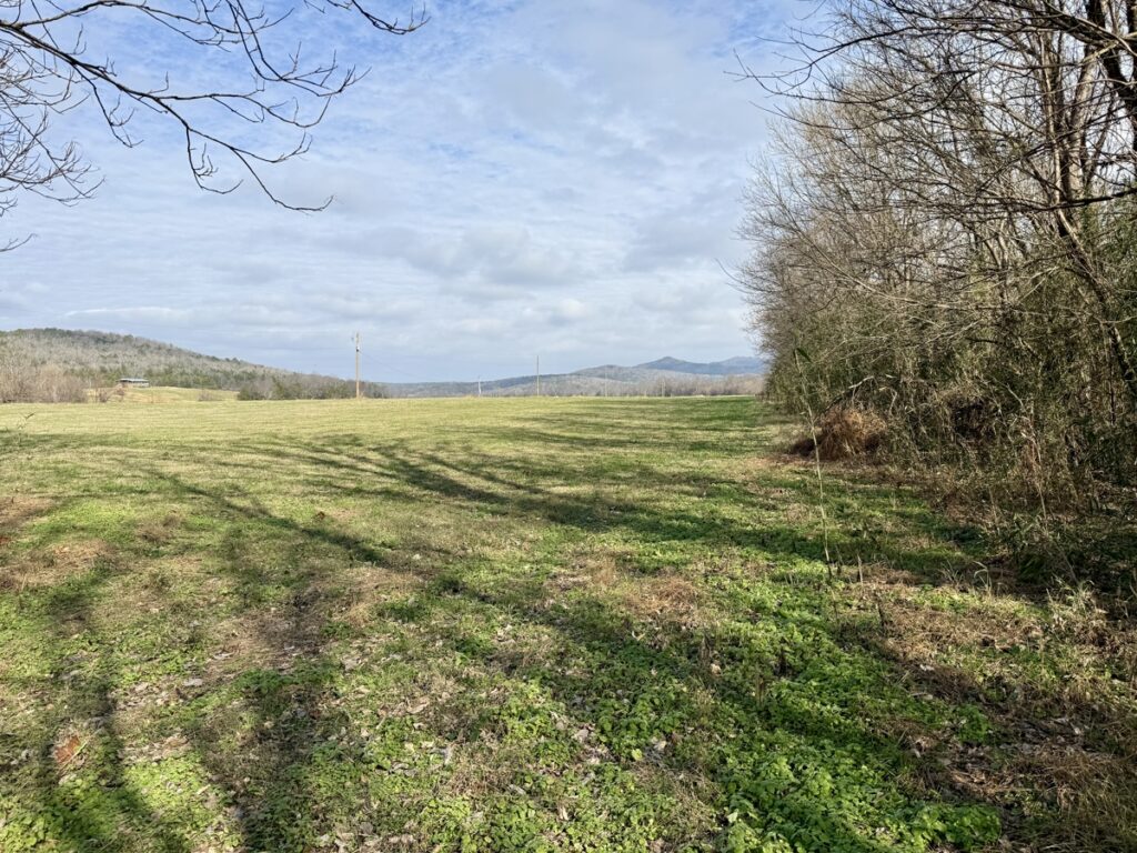 Property photo for land for sale in Stone County Arkansas