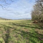 Property photo for land for sale in Stone County Arkansas