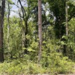 Property photo for land for sale in Hamilton County Florida