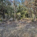 Property photo for land for sale in Levy County Florida