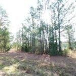 Property photo for land for sale in Cass County Texas