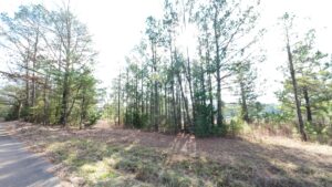 Property photo for land for sale in Cass County Texas