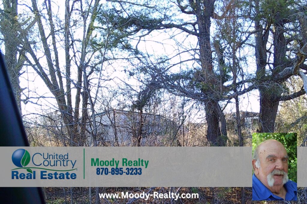 Property photo for land for sale in Mississippi County Arkansas