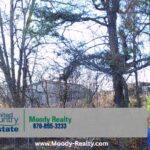 Property photo for land for sale in Mississippi County Arkansas