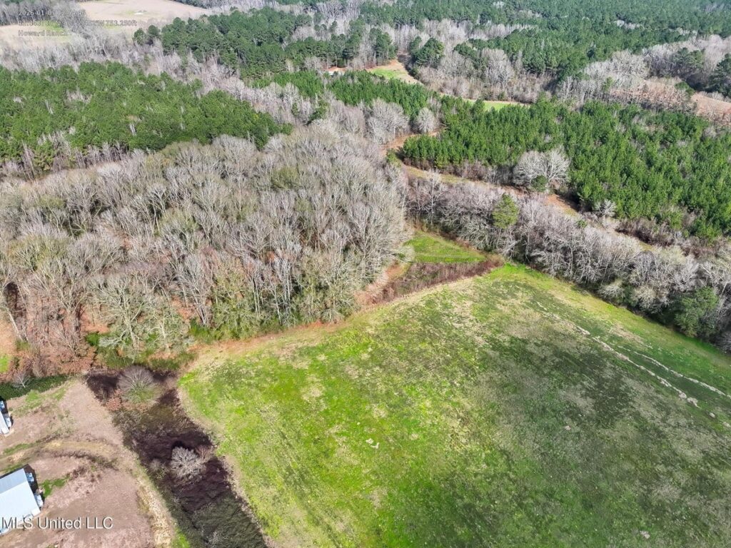 Property photo for land for sale in  County Mississippi