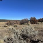 Property photo for land for sale in Rio Arriba County New Mexico
