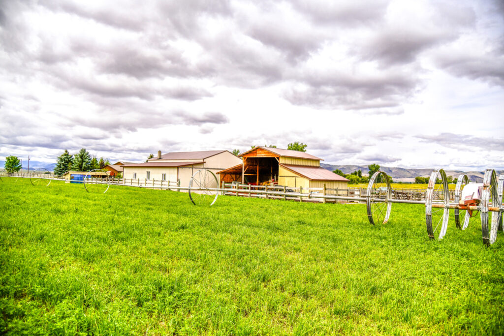 Property photo for land for sale in Lake County Montana