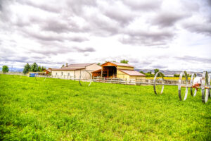 Property photo for land for sale in Lake County Montana