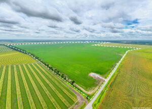 Property photo for land for sale in Madison County Louisiana