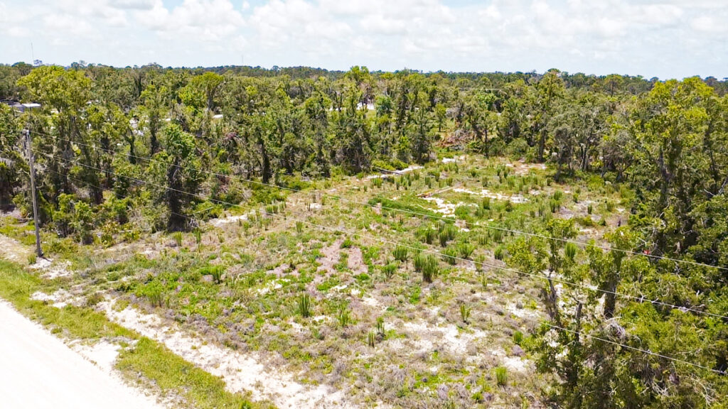 Property photo for land for sale in Taylor County Florida