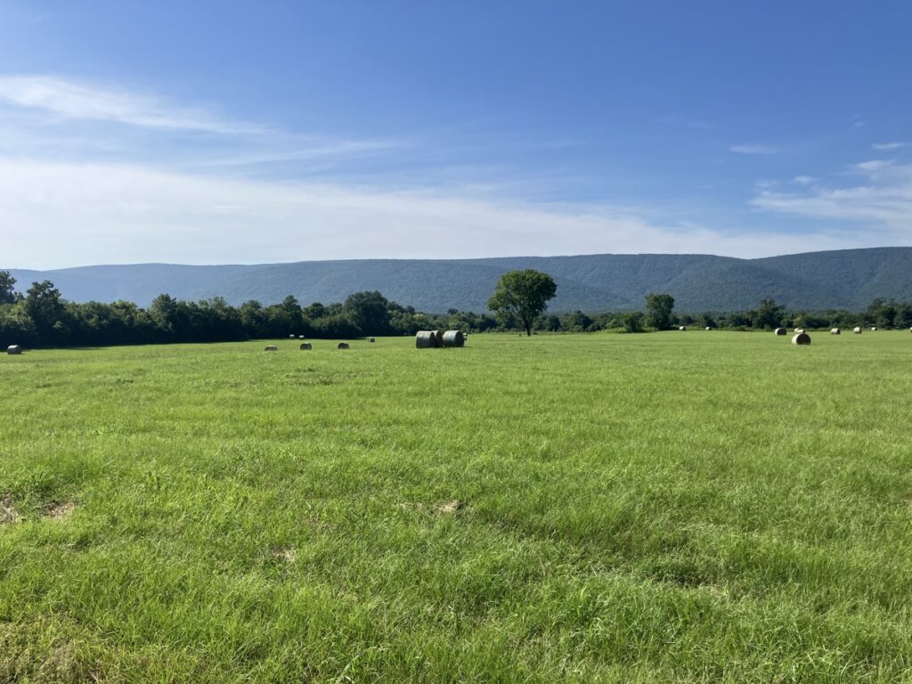 Property photo for land for sale in Pushmataha County Oklahoma