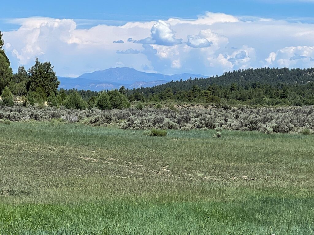 Property photo for land for sale in Rio Arriba County New Mexico