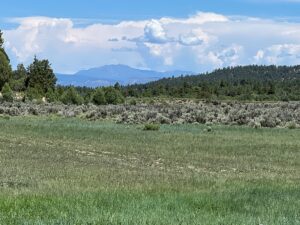 Property photo for land for sale in Rio Arriba County New Mexico